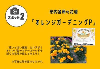 フォトスポット・オレンジG・P