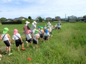 彼岸花をみに散歩に行っている画像