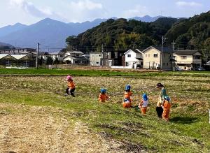 つくしを探す画像