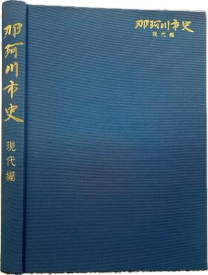 市史