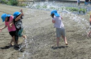 畑に水を撒く画像