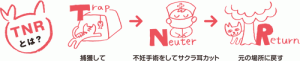 TNR