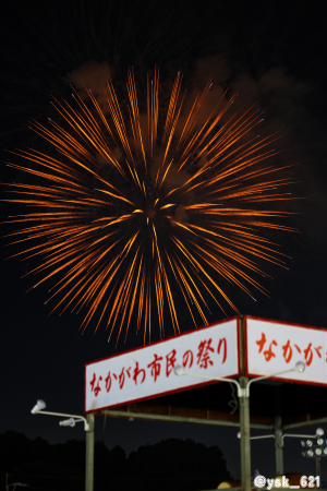 風景特別賞「那珂川の本気」なかがわ市民の祭りのやぐらと花火