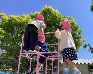 ジャングルジムに上る画像