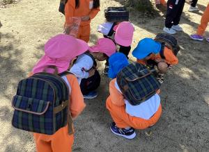 どんぐりをとる画像