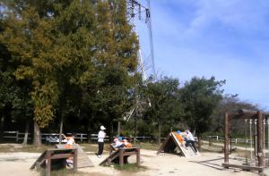 アスレチックで遊ぶ画像