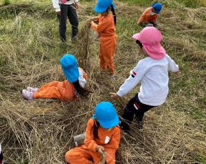 わらを集める画像