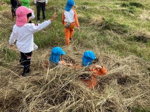 わらでふわふわのお布団を作った画像