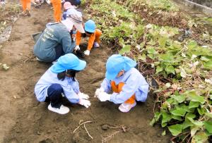 土でお団子をつくる画像