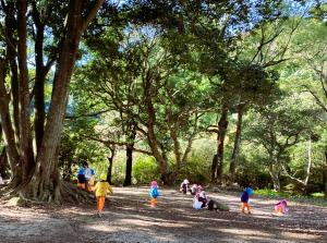公園で遊ぶ画像