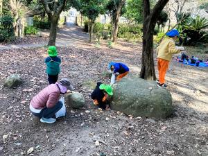 ドングリを拾う画像