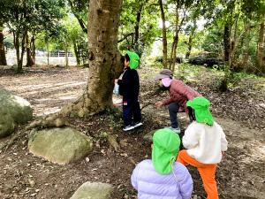 気の穴をのぞく画像