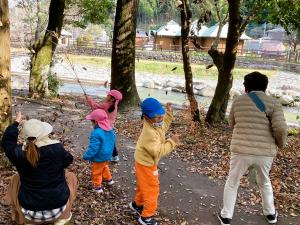 落ち葉を投げる画像