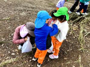 年長児がドングリを入れてあげる画像