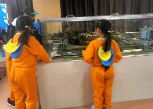 ジオラマを見る画像