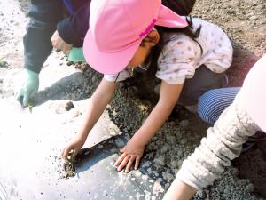 苗を植える画像