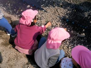 苗を植える画像