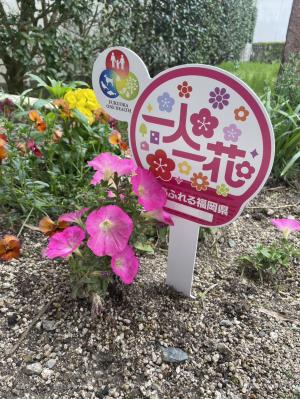 このプレートが目印です