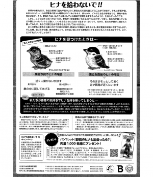 ポスター裏