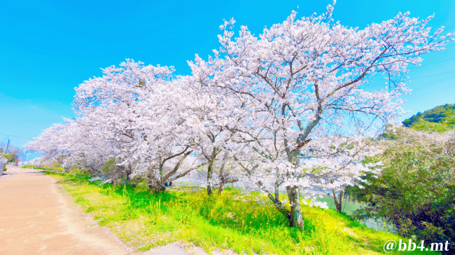 風景部門優秀賞