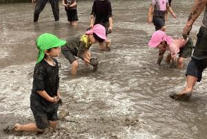 田んぼで遊ぶ画像