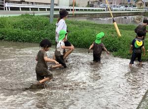 田んぼから出る画像