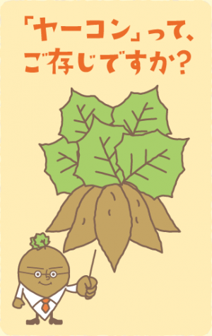 ヤーコンってご存じですか？