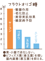 オリゴ糖（ヤーコン）