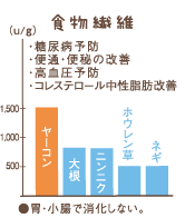 食物繊維（ヤーコン）