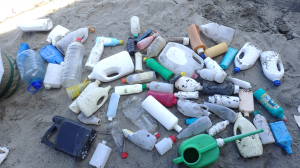 海岸50mで回収したプラスチックボトル（H28.6）