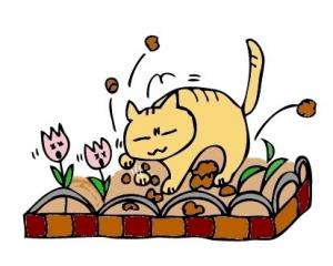 花壇を荒らす猫