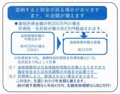 追納制度