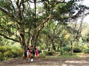 中ノ島公園で遊ぶ画像