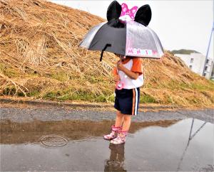 雨の日の散歩の画像