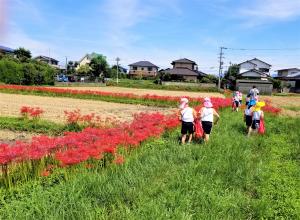 散歩の画像