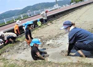 どろんこ遊びの画像