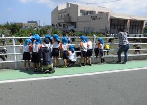 田植え見学の画像