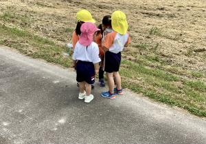 捕まえた虫をみんなで見る画像