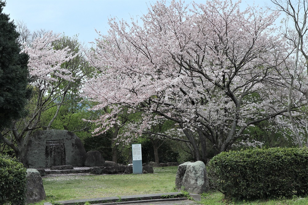 脇山中央公園1