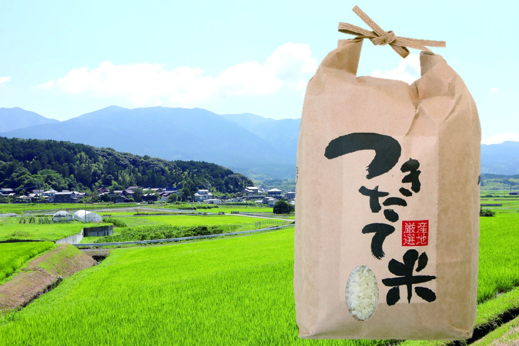 脇山米