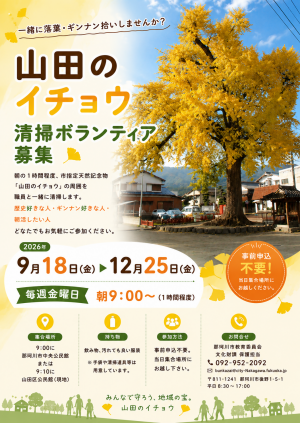 イチョウボランティア募集